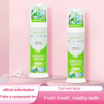Multifunction Cleaning Oral Teeth Whitening Press Foam Toothpaste for Adults Custom Logo